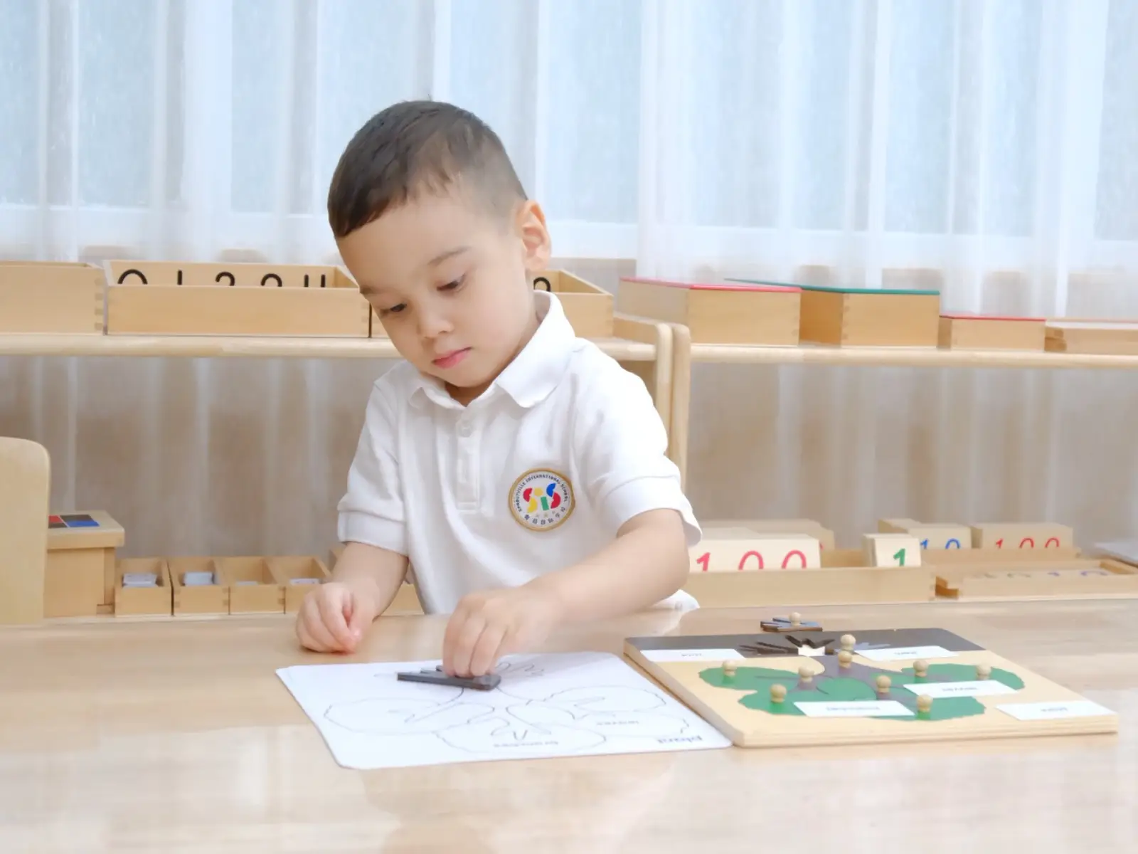 A focused preschool boy at Sproutville International School learning about plant biology by matching wooden tree puzzle pieces to a worksheet in the Montessori cultural area.